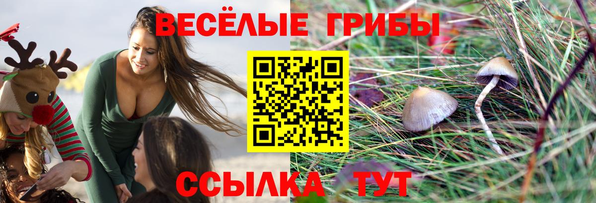 Ачинск  Псилоцибиновые грибы прущие грибы  Вход с VPN 